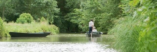 Oiseaux marais poitevin barque riviere